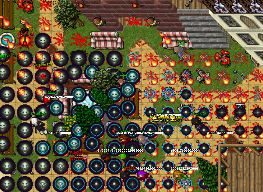 Raid city