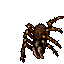 Nightmare