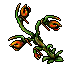 Spit Nettle